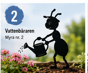 Myra nr 2 Vattenkanna