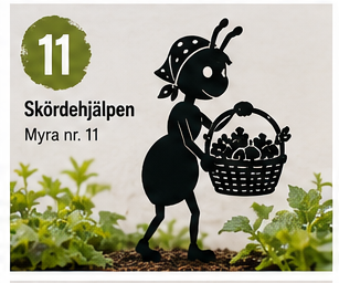 Myra nr 11 Korg