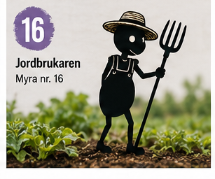 Myra nr 16 Grep